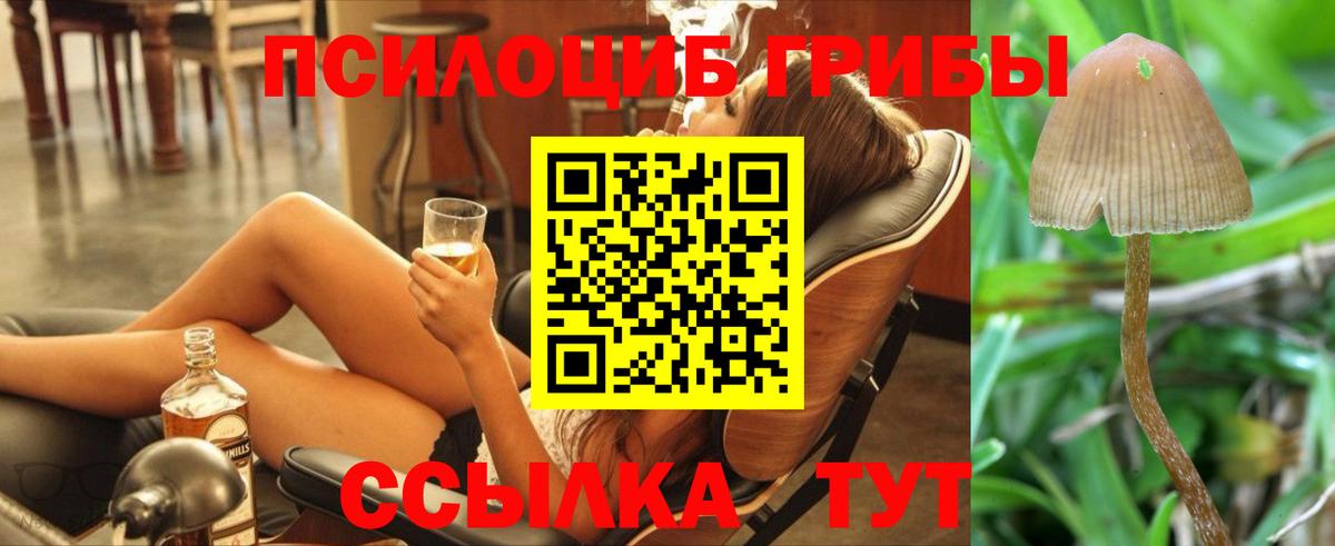 Псилоцибиновые грибы Magic Shrooms  Вход с VPN  Знаменск 